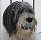 Benutzeravatar