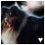 Benutzeravatar
