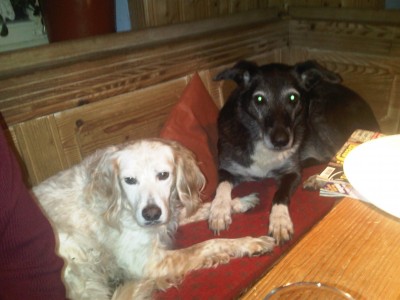 IMG00259-20110928-1918.jpg (221.33 KiB) 3460-mal betrachtet IMG00259-20110928-1918.jpg