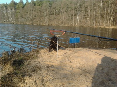 Maddy am Schwansee2.jpg