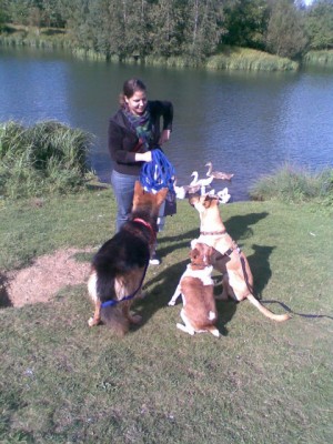 Büld.jpg (85.74 KiB) 4727-mal betrachtet Büld.jpg