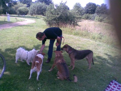 bild2w345.jpg (74.47 KiB) 4733-mal betrachtet bild2w345.jpg