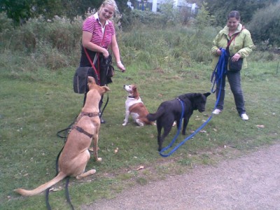 Büld1.jpg (81.55 KiB) 4727-mal betrachtet Büld1.jpg