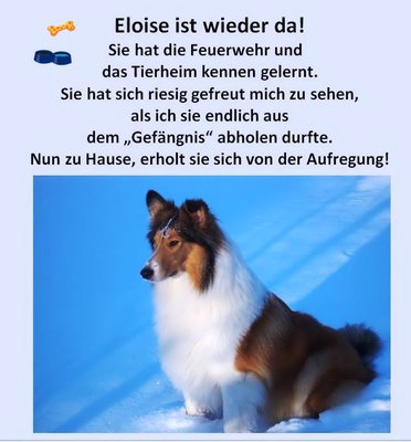 Eloise wieder da1.jpg