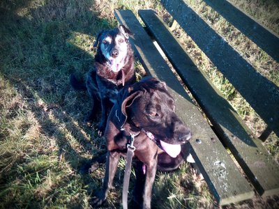 IMG_20140612_201022_edit.jpg (336.93 KiB) 64786-mal betrachtet IMG_20140612_201022_edit.jpg