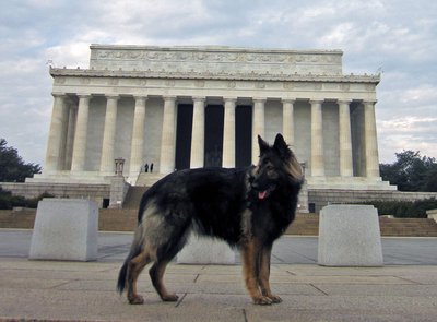 1.1.11-DC.Tessa.jpg (136.96 KiB) 6626-mal betrachtet 1.1.11-DC.Tessa.jpg