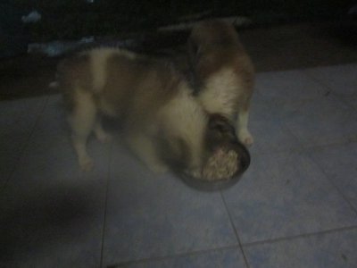 Bild 126.jpg (72.68 KiB) 8783-mal betrachtet Bild 126.jpg