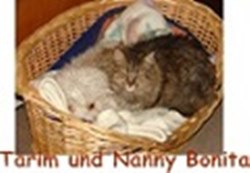 11245042cz Tarim und Nanny Bonita  120 x 90 pix Größe geändert.jpg