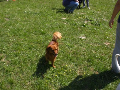 My Low 3.jpg (222.02 KiB) 3666-mal betrachtet My Low 3.jpg