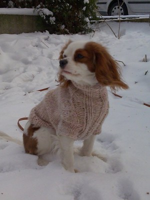 26 Bild017.jpg (121.48 KiB) 2295-mal betrachtet 26 Bild017.jpg