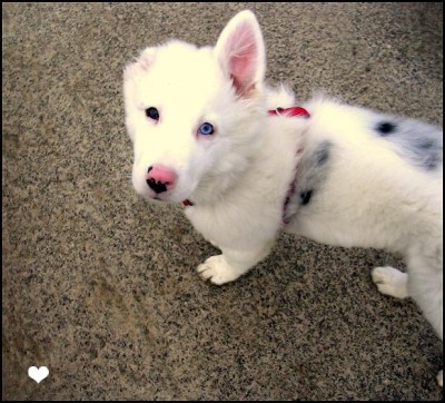 Knepp und so 063 - Kopie.jpg (81.34 KiB) 6284-mal betrachtet Knepp und so 063 - Kopie.jpg