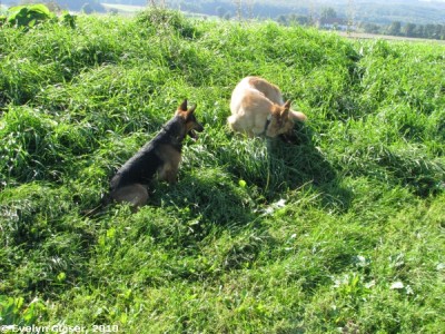 2010 09 23 Forumtreffen 009.jpg