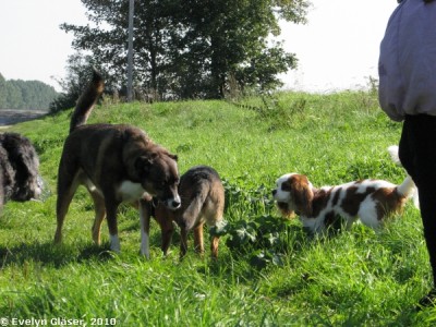 2010 09 23 Forumtreffen 020.jpg