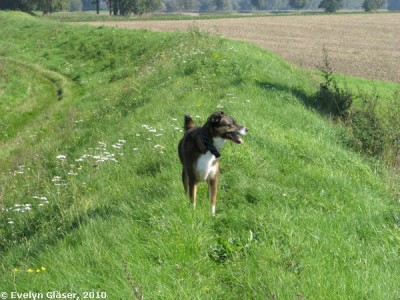 2010 09 23 Forumtreffen 032.jpg