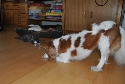 DSC_2760.JPG
