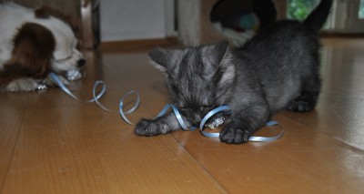 DSC_2765.JPG