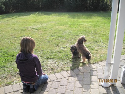 IMG_0920.jpg (589.51 KiB) 3451-mal betrachtet IMG_0920.jpg