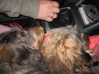 IMG_0903.jpg (533.86 KiB) 3610-mal betrachtet IMG_0903.jpg