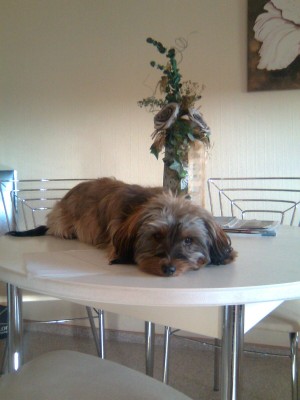 Bild0036.jpg