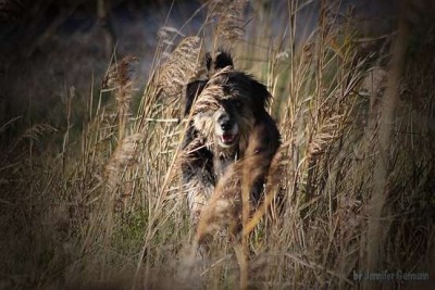 Girlfriends_14112010_bearbeitet (11).jpg