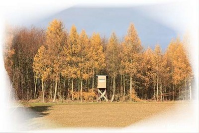 Natur_November10.jpg