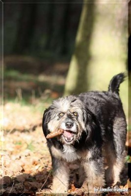 Girlfriends_14112010_bearbeitet (33).jpg