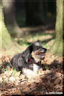 Girlfriends_14112010_bearbeitet (40).jpg