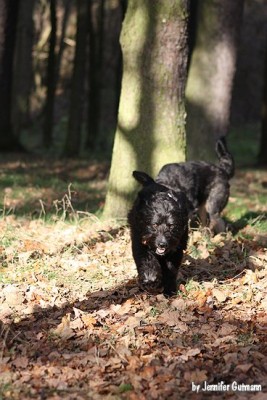 Girlfriends_14112010_bearbeitet (49).jpg