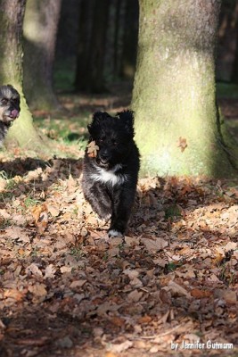 Girlfriends_14112010_bearbeitet (53).jpg