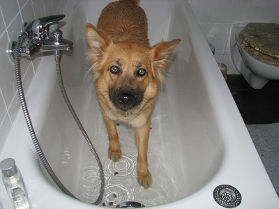 sommer.jpg (206.59 KiB) 4143-mal betrachtet sommer.jpg