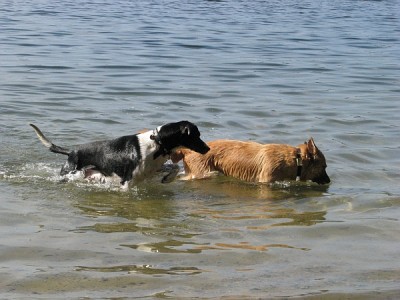 september.jpg (250.82 KiB) 3925-mal betrachtet september.jpg