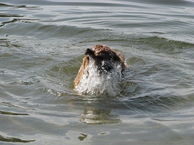 september_2.jpg (253.92 KiB) 4144-mal betrachtet september_2.jpg