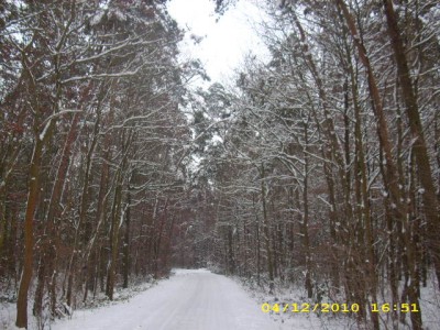 winterlandschaft 2010 009.jpg