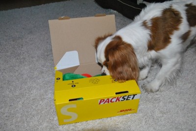 2.JPG (129.07 KiB) 3056-mal betrachtet 2.JPG