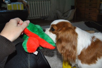 3.JPG (122.53 KiB) 3054-mal betrachtet 3.JPG