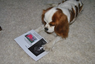 4.JPG (136.13 KiB) 3062-mal betrachtet 4.JPG