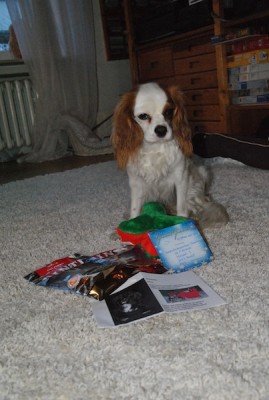 5.jpg (82.65 KiB) 2911-mal betrachtet 5.jpg