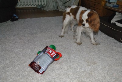 6.JPG (148.12 KiB) 3053-mal betrachtet 6.JPG