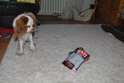 7.JPG (144.59 KiB) 3055-mal betrachtet 7.JPG