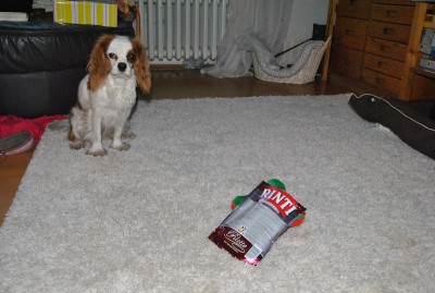 8.JPG (151.47 KiB) 2911-mal betrachtet 8.JPG