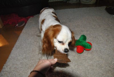 9.JPG (126.42 KiB) 2908-mal betrachtet 9.JPG