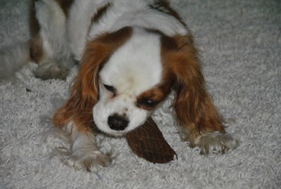 10.JPG (121.75 KiB) 2905-mal betrachtet 10.JPG