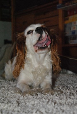 12.jpg (65.41 KiB) 3057-mal betrachtet 12.jpg