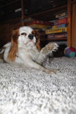 13.jpg (73.9 KiB) 3056-mal betrachtet 13.jpg