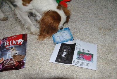 DSC_3980.JPG (158.77 KiB) 3061-mal betrachtet DSC_3980.JPG