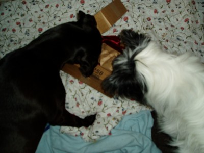 Rya und Sam 002.JPG