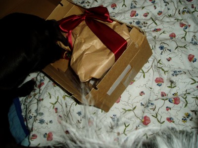 Rya und Sam 003.JPG (671.69 KiB) 3023-mal betrachtet Rya und Sam 003.JPG