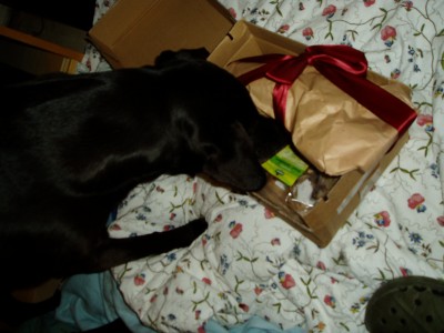 Rya und Sam 006.JPG (671.93 KiB) 3186-mal betrachtet Rya und Sam 006.JPG