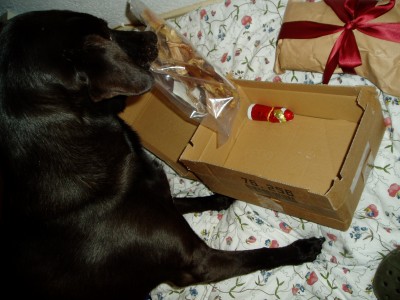 Rya und Sam 007.JPG (664.66 KiB) 3193-mal betrachtet Rya und Sam 007.JPG