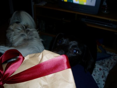 Rya und Sam 010.JPG